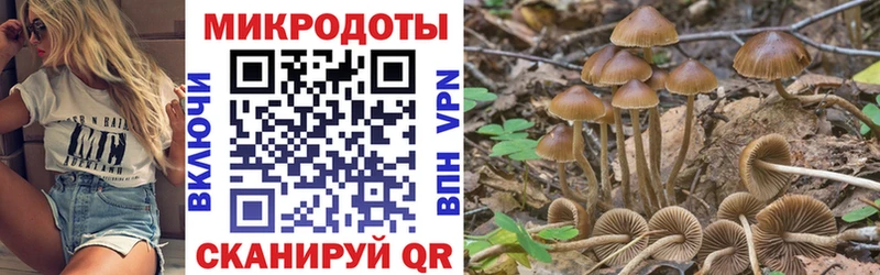 Псилоцибиновые грибы GOLDEN TEACHER  где можно купить   Сорск 